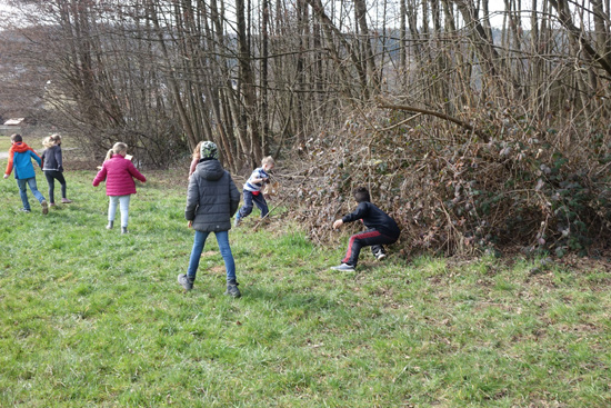 Dammbach Grundschule