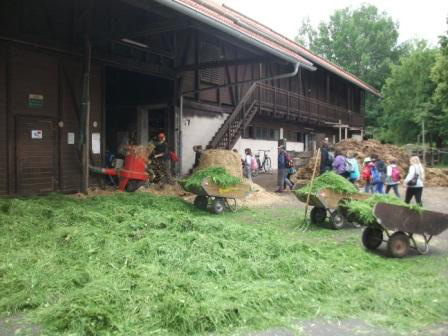 Grundschule Dammbach